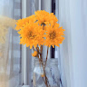 Meet your Posher, Joey